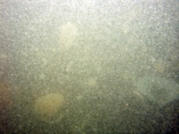 Image of seabed - photo.