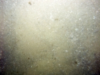 Image of seabed - photo.