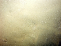 Image of seabed - photo.