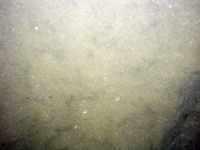 Image of seabed - photo.