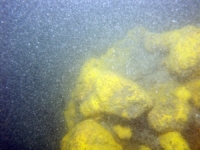 Image of seabed - photo.