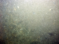 Image of seabed - photo.