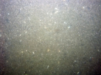 Image of seabed - photo.