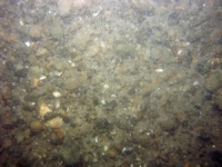 Image of seabed - photo.