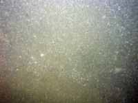 Image of seabed - photo.