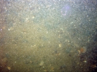 Image of seabed - photo.