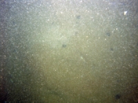 Image of seabed - photo.