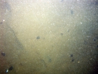 Image of seabed - photo.