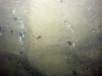 Image of seabed - photo.