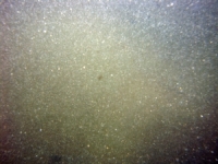 Image of seabed - photo.