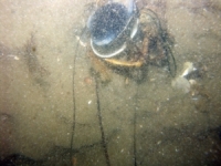 Image of seabed - photo.