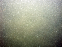 Image of seabed - photo.