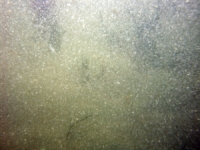 Image of seabed - photo.