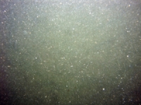 Image of seabed - photo.