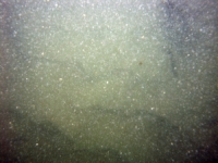 Image of seabed - photo.