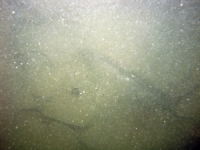 Image of seabed - photo.