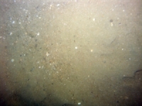 Image of seabed - photo.