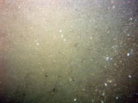 Image of seabed - photo.