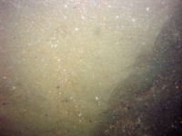 Image of seabed - photo.