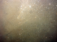 Image of seabed - photo.