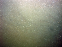 Image of seabed - photo.