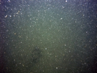 Image of seabed - photo.