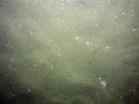 Image of seabed - photo.