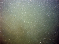 Image of seabed - photo.