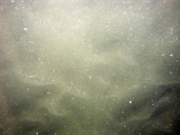 Image of seabed - photo.