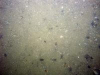 Image of seabed - photo.