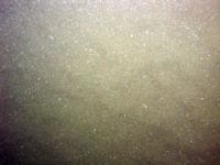 Image of seabed - photo.