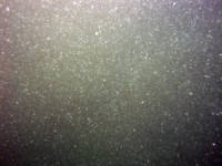 Image of seabed - photo.