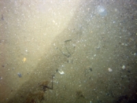 Image of seabed - photo.