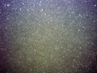 Image of seabed - photo.