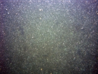 Image of seabed - photo.