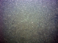 Image of seabed - photo.