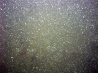 Image of seabed - photo.