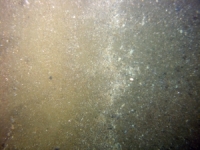 Image of seabed - photo.