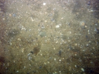 Image of seabed - photo.