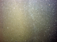 Image of seabed - photo.