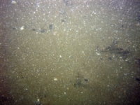 Image of seabed - photo.