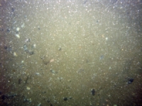 Image of seabed - photo.