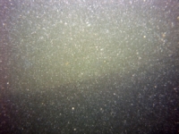 Image of seabed - photo.