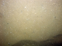 Image of seabed - photo.