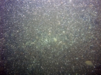 Image of seabed - photo.