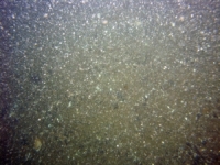 Image of seabed - photo.