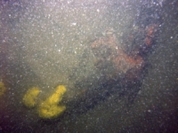 Image of seabed - photo.