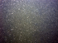 Image of seabed - photo.