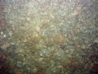 Image of seabed - photo.