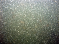 Image of seabed - photo.